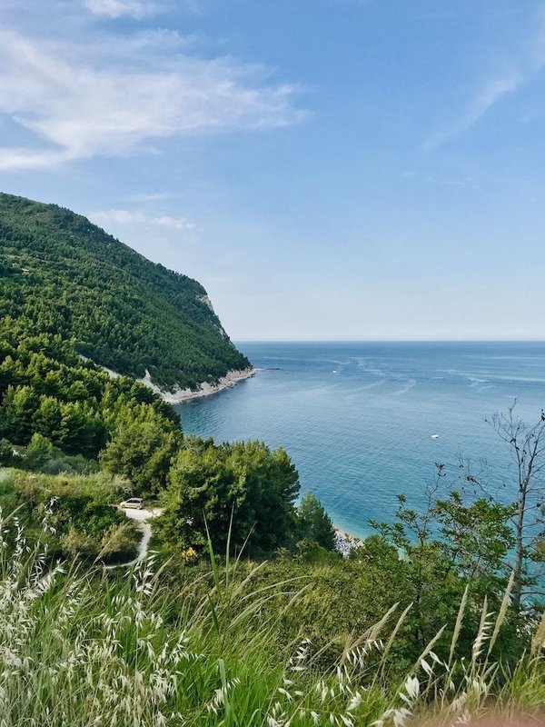 les bienfaits de la marche quotidienne sur votre bien-être